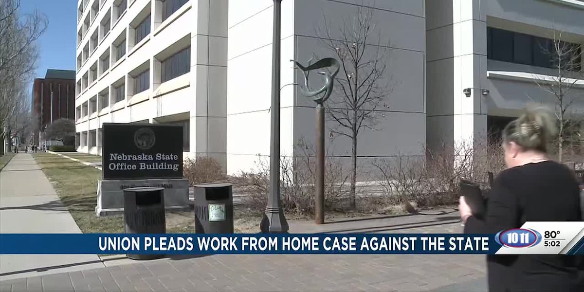 Worker Union NAPE argues work from home case against the state [Video]