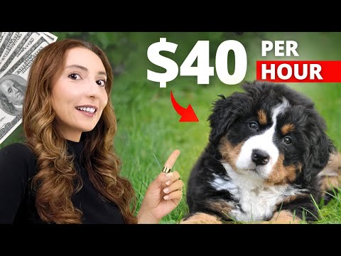Top 5 Side Hustles Anyone Can Start with 0$ (& I’m Paying For) [Video]
