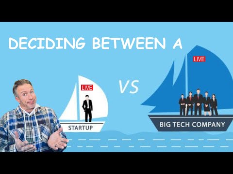 Deciding on a Startup vs a Big Tech Company [Video]