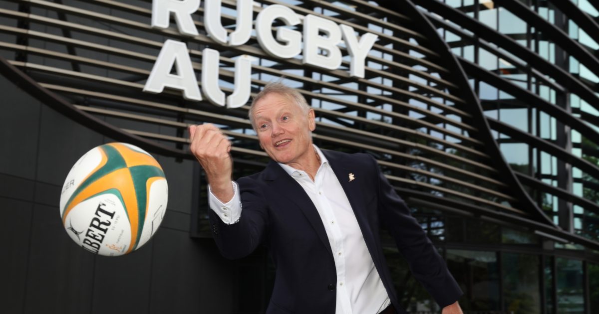 Joe Schmidt hints at how success will dictate the length of his Wallaby tenure [Video]