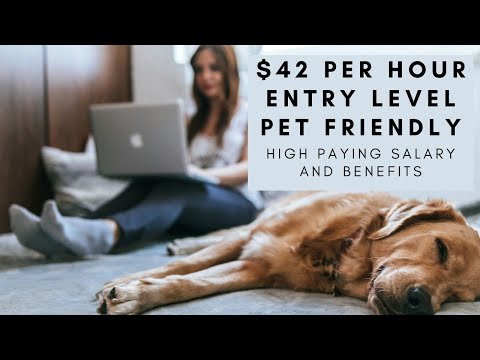 $42 PER HOUR NO DEGREE NEEDED FURRY FRIEND FRIENDLY FULL TIME WITH BENEFITS WORK FROM HOME JOB! [Video]