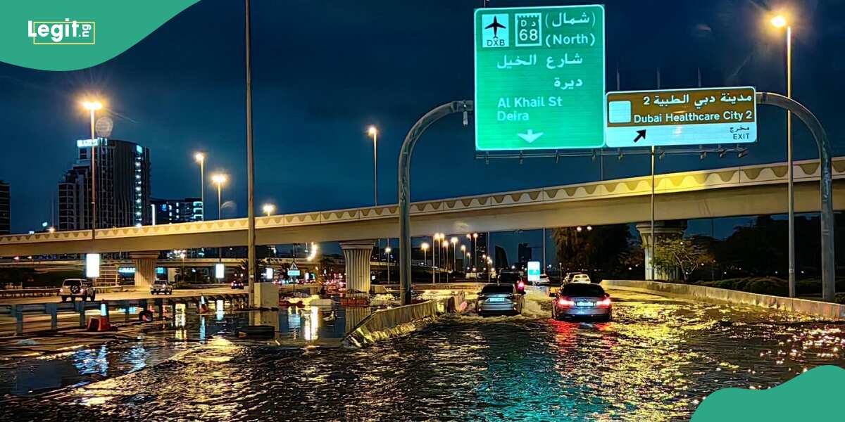 70-Year-Old Man Dies, Schools Shut down As Flood Submerges Dubai After Heavy Downpour [Video]