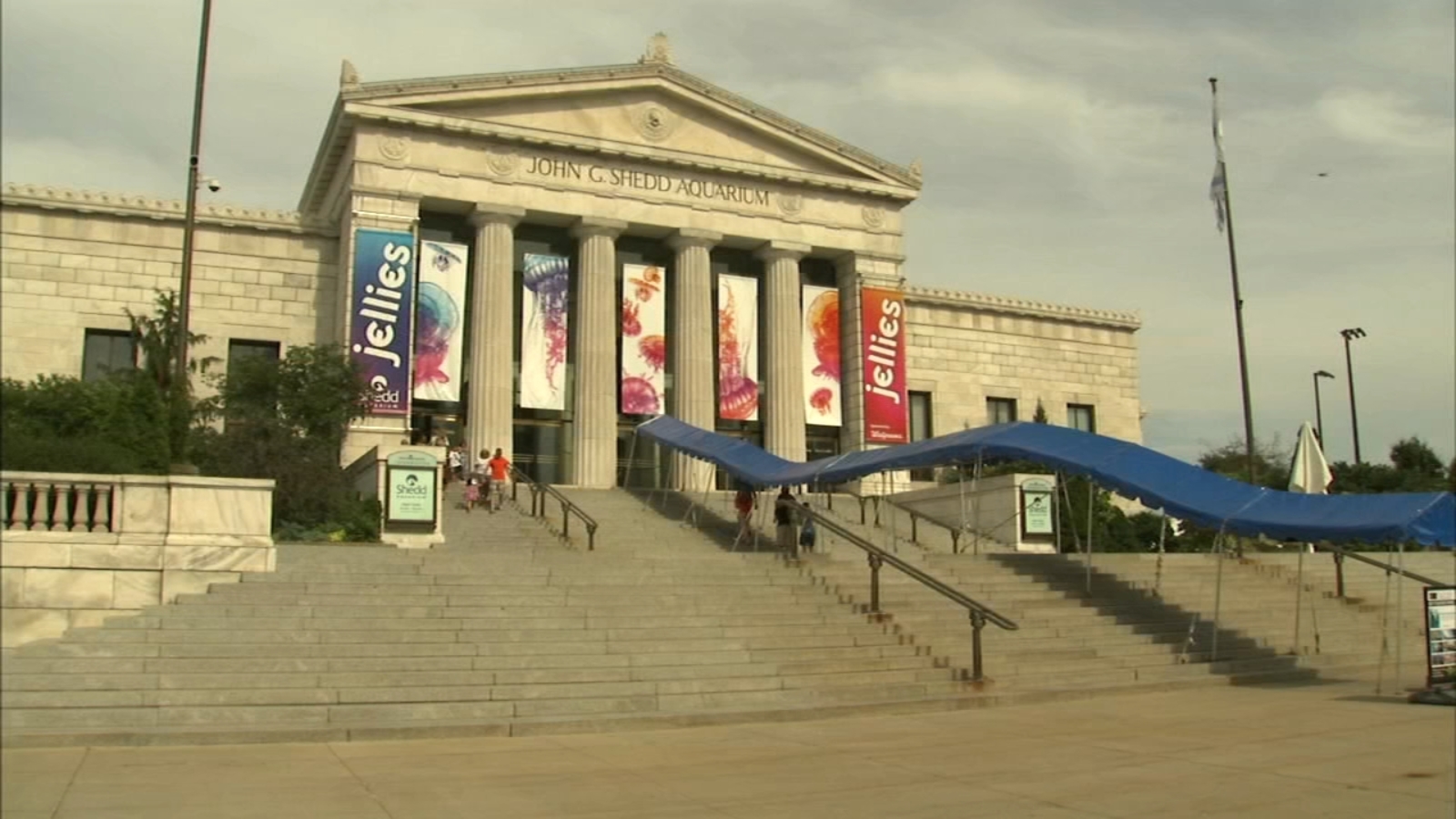 Shedd Aquarium workers vote to form union affiliated with AFSCME [Video]