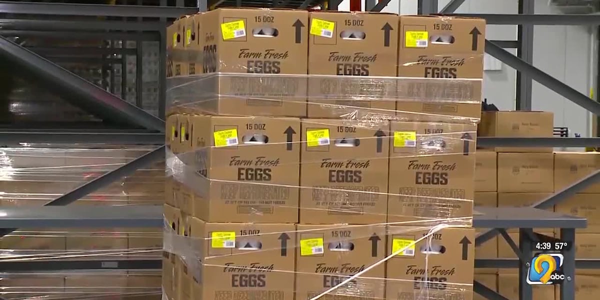 Food Bank of Iowa receives more than 14,000 dozen eggs from Iowa Egg Council [Video]