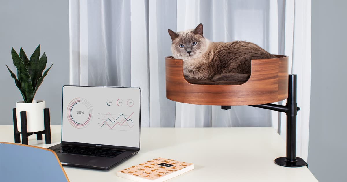 Lofty cat throne will keep your needy colleague off your keyboard (maybe) [Video]