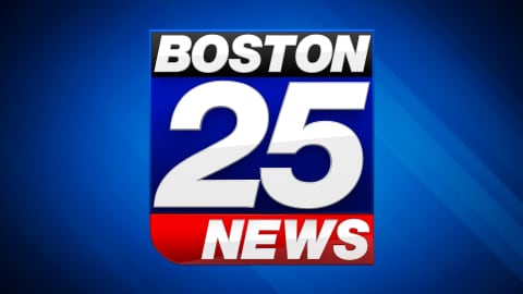 Free ‘Buzz Book’ compilation includes excerpts from Dava Sobel, Jami Attenberg  Boston 25 News [Video]