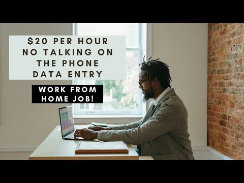 $20 PER HOUR DATA ENTRY NO TALKING ON THE PHONE INTROVERT PERFECT REMOTE WORK FROM HOME JOB! [Video]