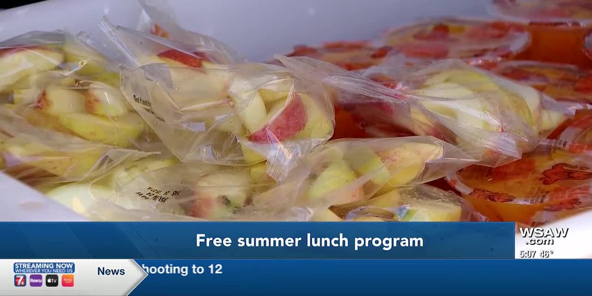 Free summer lunch programs offered in Fox valley schools [Video]