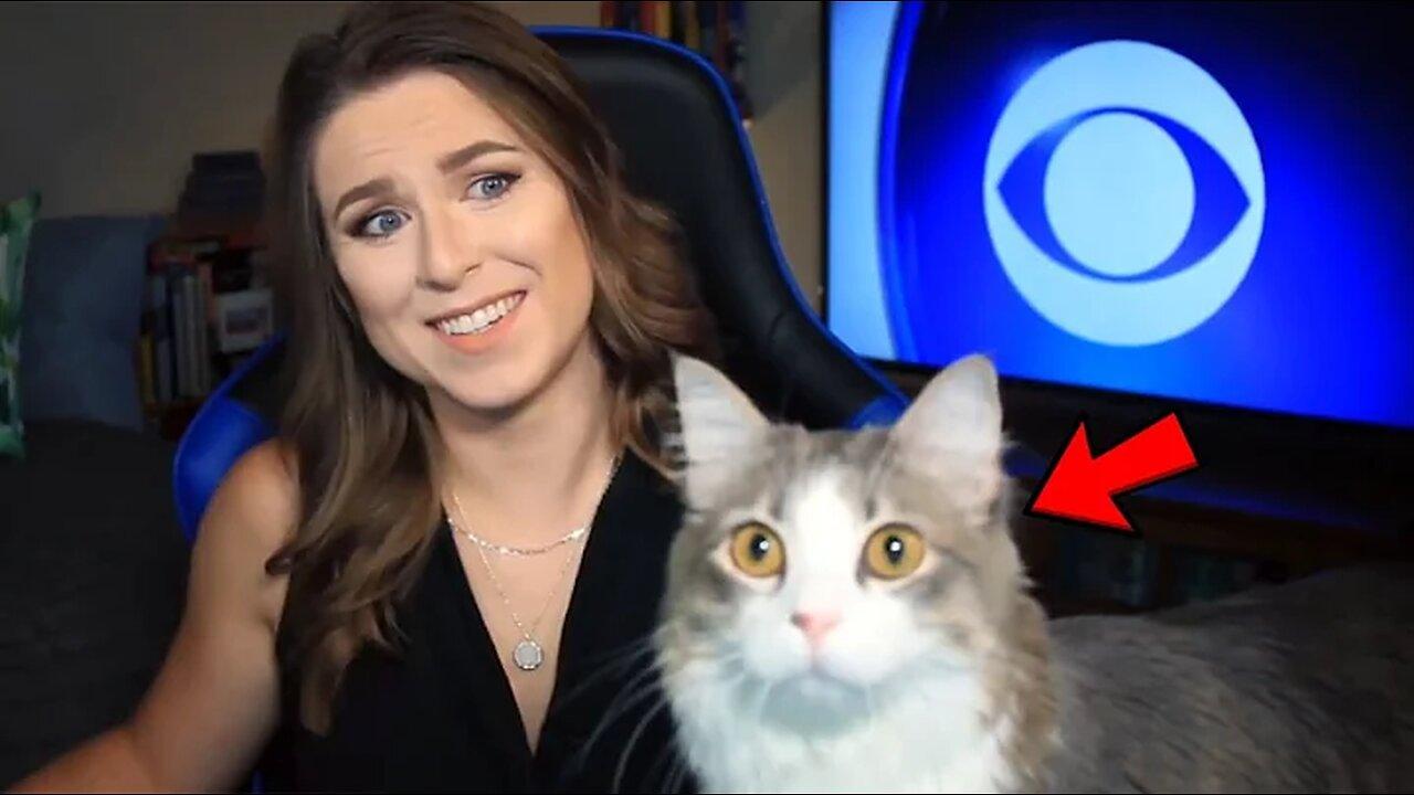 Best Cats Work From Home News Bloopers [Video]