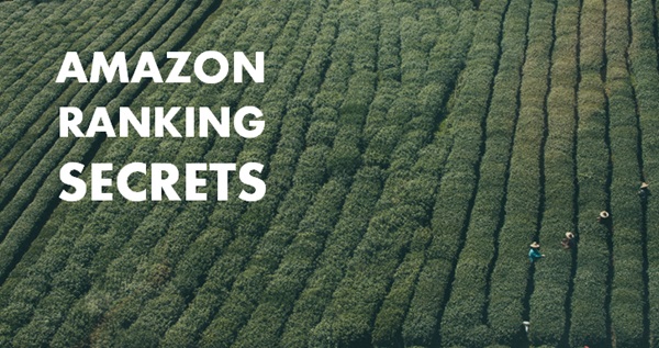 Amazon Ranking Secrets for Books and Physical Products from an SEO Pro [Video]