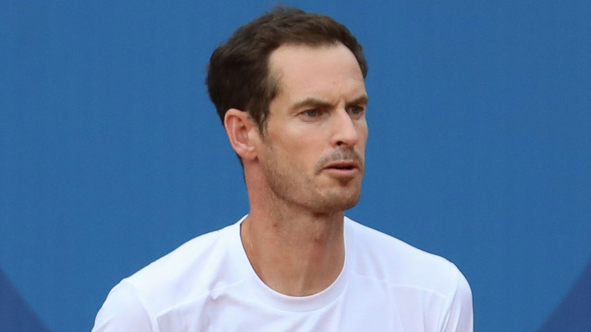 Andy Murray tipped for shock career change after British legend announces he will retire from tennis [Video]