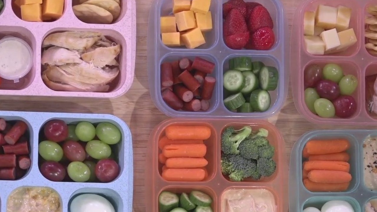 Back-to-school lunch ideas | FOX 13 Tampa Bay [Video]