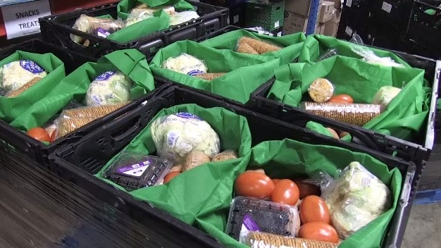 Regional councillor claims food bank ‘overwhelmed’ with students, seeks report [Video]