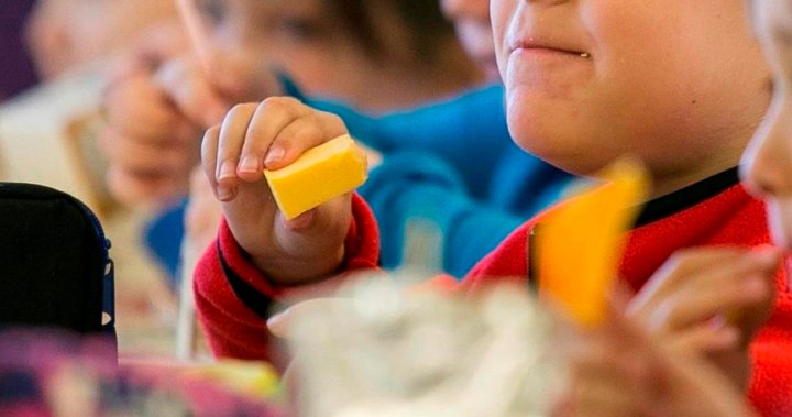 Nova Scotia to roll out school lunch program to elementary grades in October – Halifax [Video]