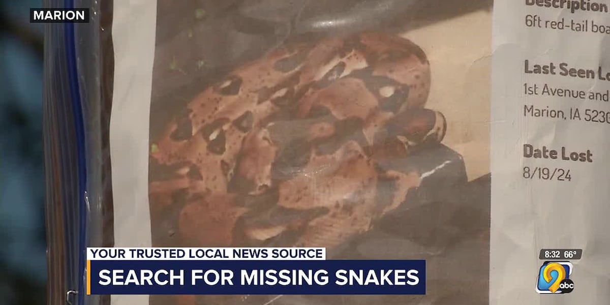 Missing pet snake in Marion [Video]