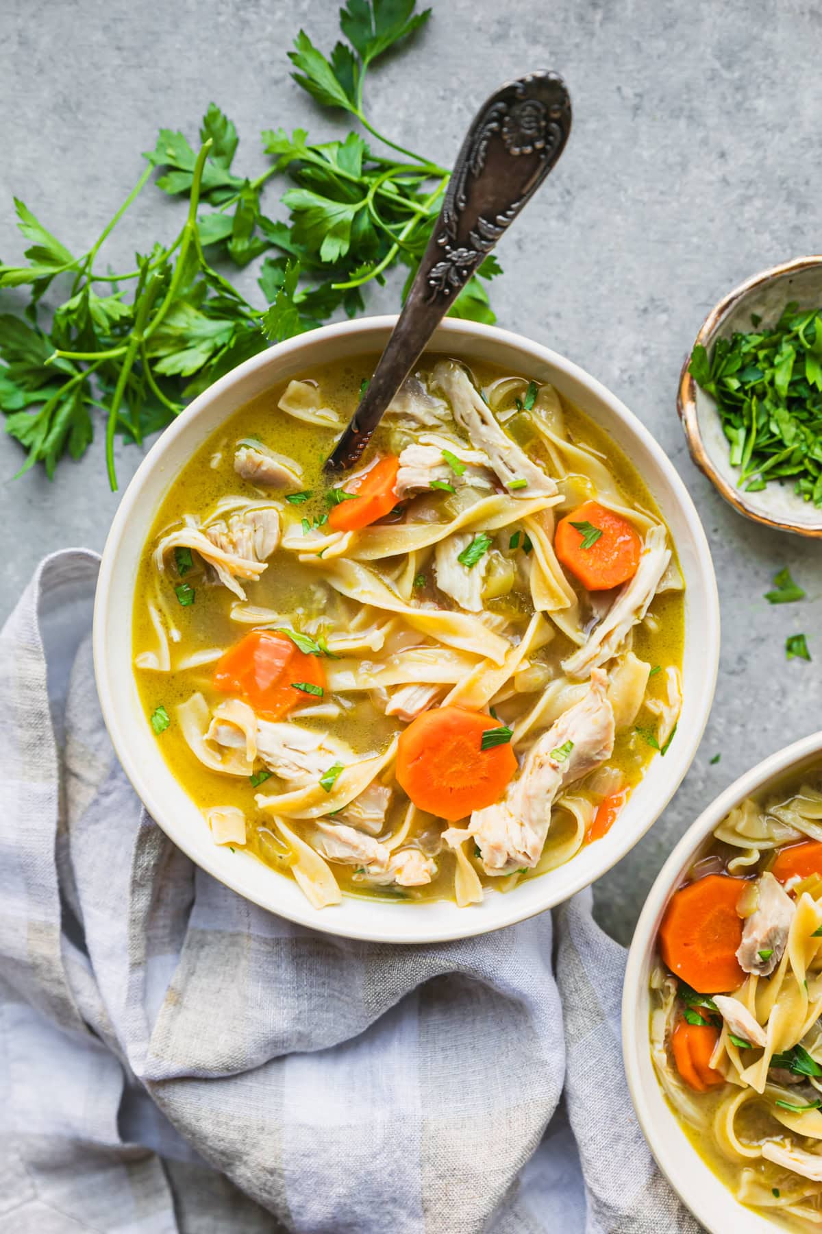 Chicken Noodle Soup (Easy) – Skinnytaste [Video]