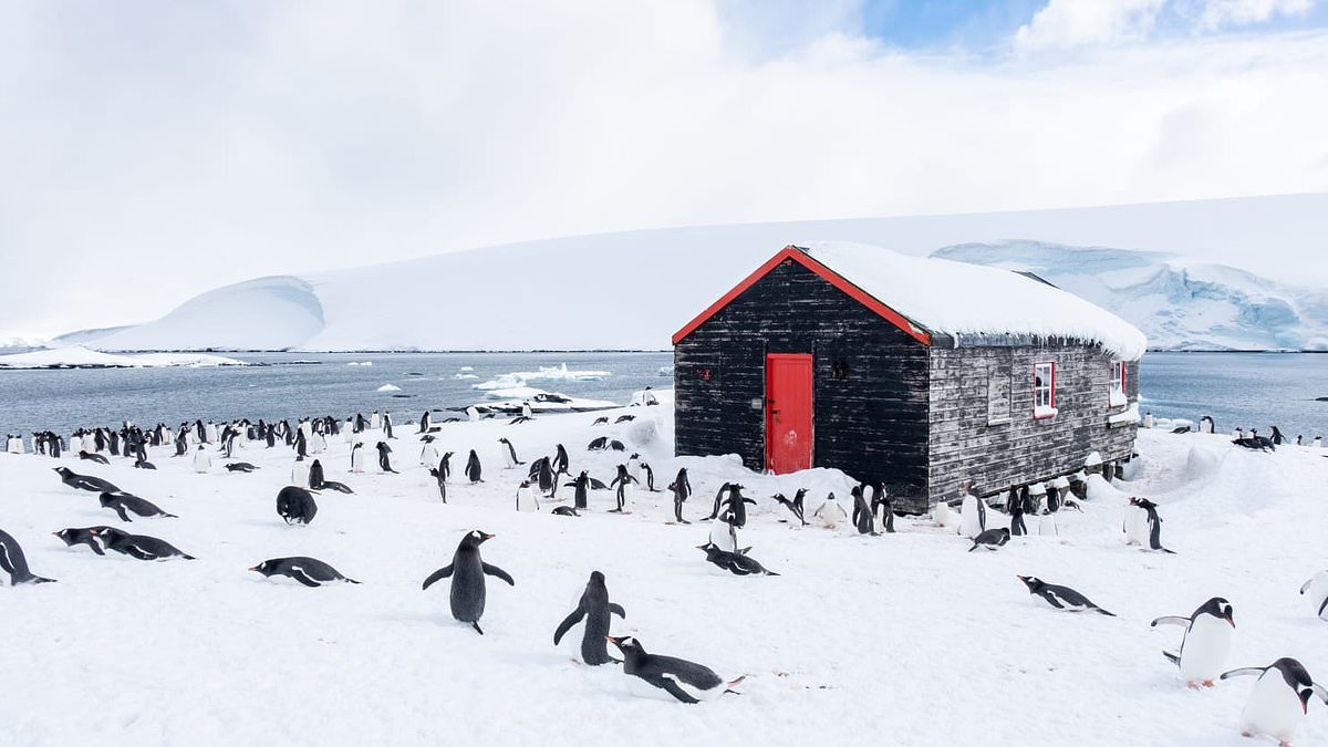 World’s most remote job: Five ‘everyday’ Brits to staff Earth’s southernmost post office and museum (with duties for one to include telling the outside world they’re still ALIVE) [Video]