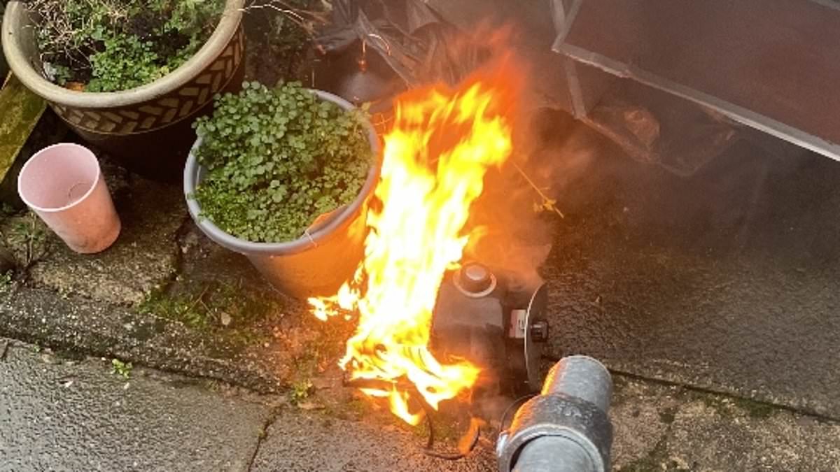 Why the air fryer in your kitchen might be a secret killer -and how authorities are in the dark about extent of the danger [Video]