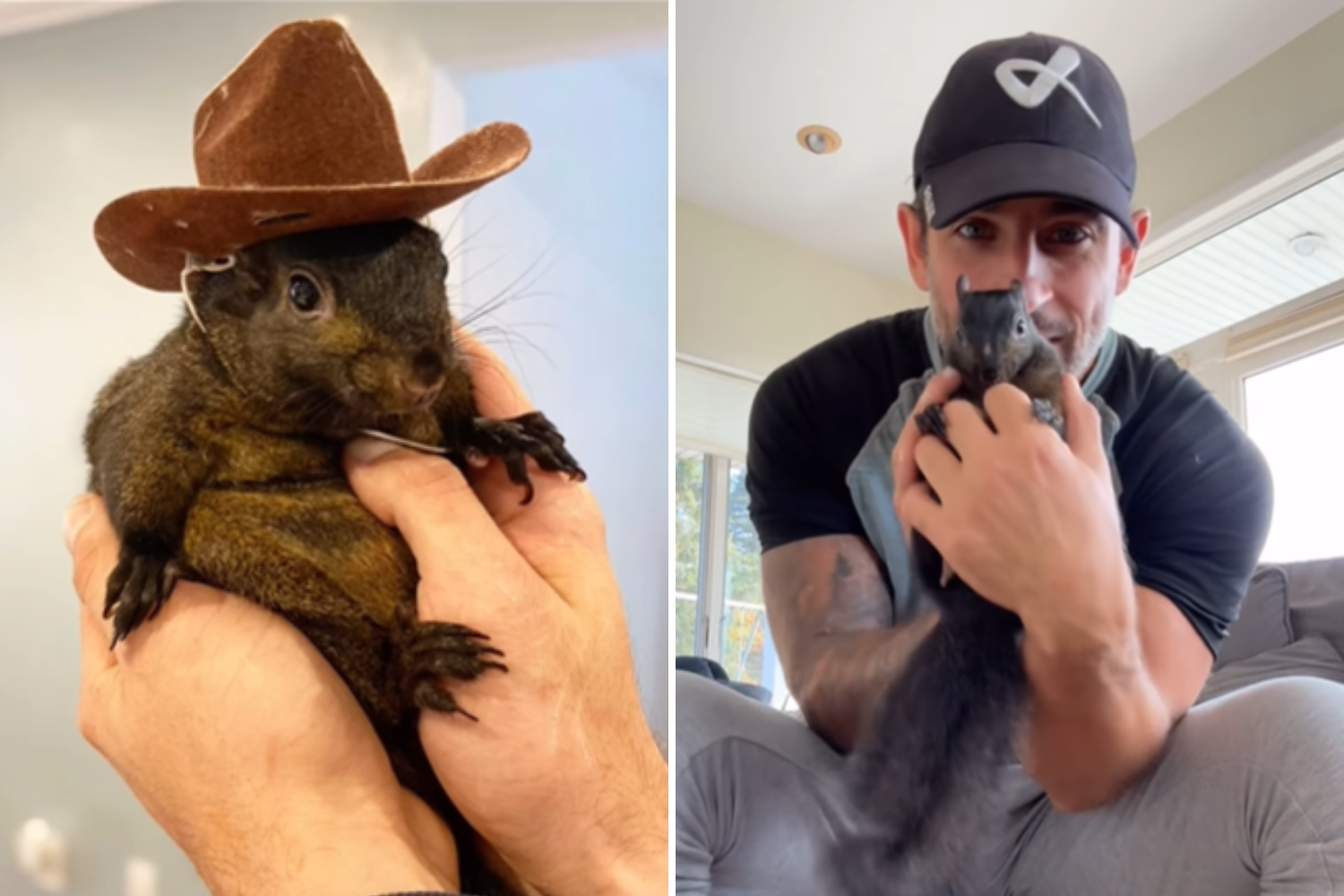 Peanut the Squirrel’s Death Sparks Bomb Threats As Officials Work From Home [Video]