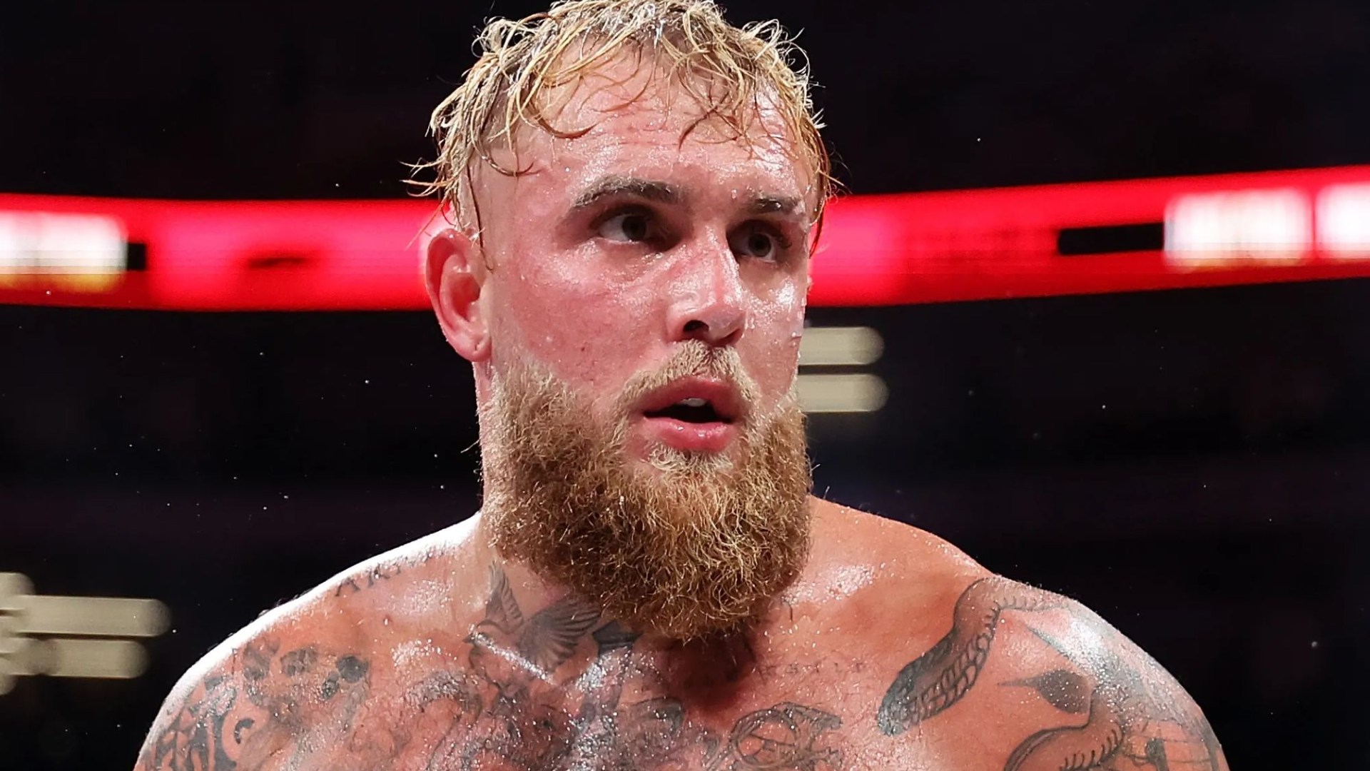 Jake Paul teases major career change from boxing to follow in footsteps of brother Logan despite beating Mike Tyson [Video]