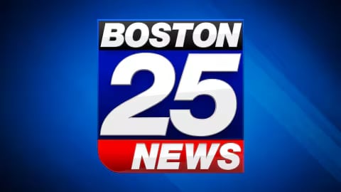 Free e-book compiles excerpts from new works by Emma Donoghue, V.E. Schwab and dozens more  Boston 25 News [Video]